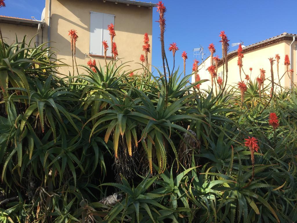 Le Melody Apartment Antibes Bagian luar foto